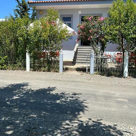 Guest House Andersoni Dhoma Plazhi Andersoni Shen Ded Gjoni Zewnętrze zdjęcie
